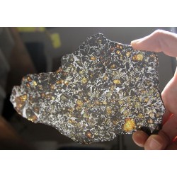 Albin Pallasite