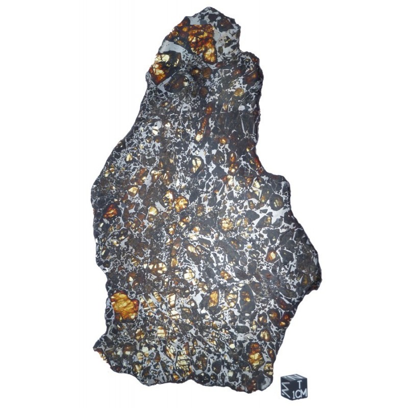 Albin Pallasite