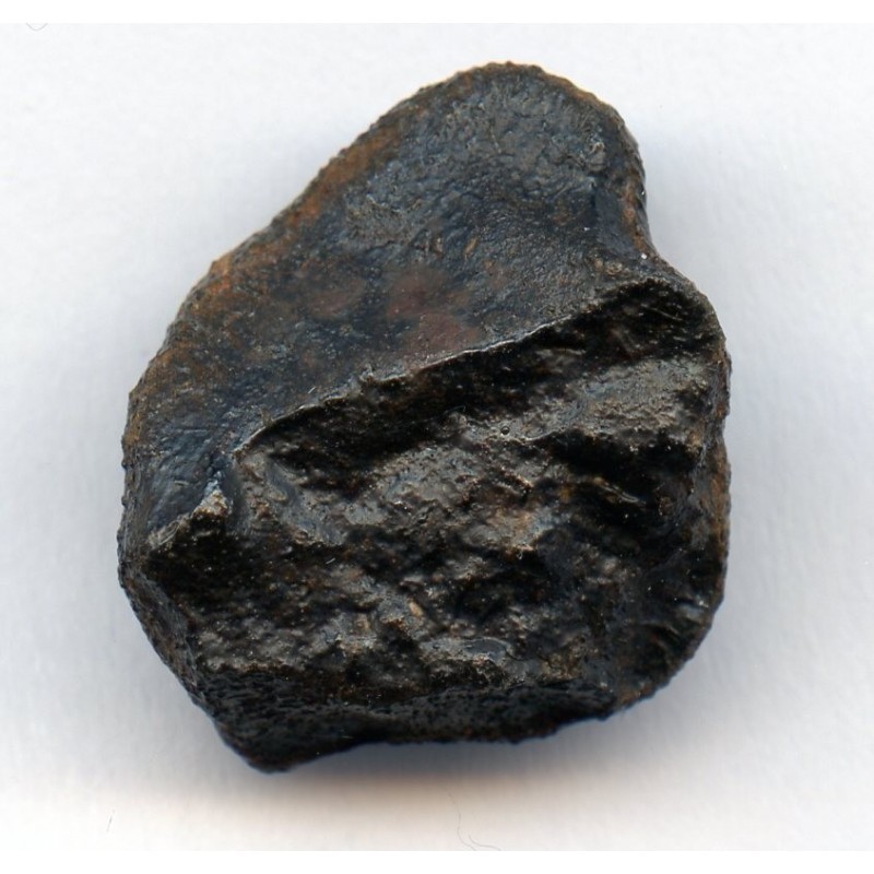 Oriented Meteorite Camel Donga