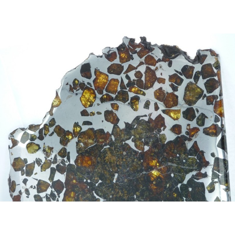 Esquel Pallasite