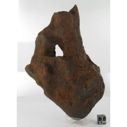 Taza Oriented Meteorite