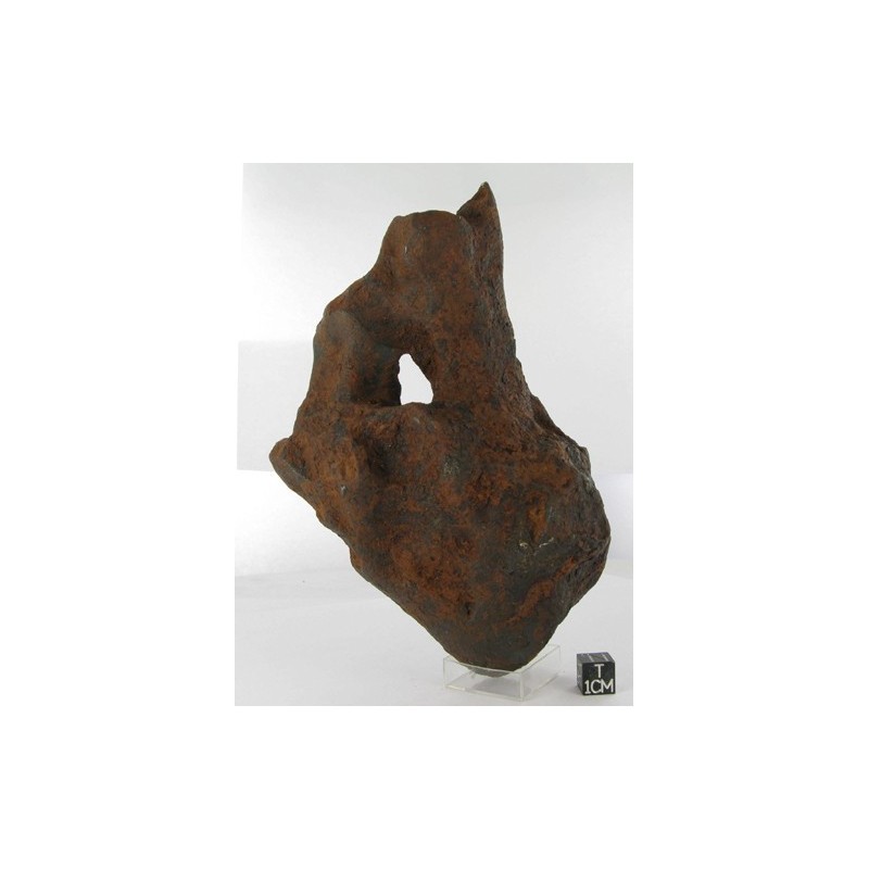 Taza Oriented Meteorite