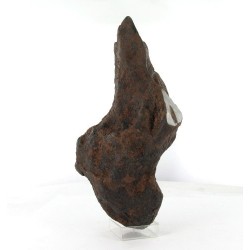 Taza Oriented Meteorite