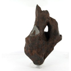 Taza Oriented Meteorite