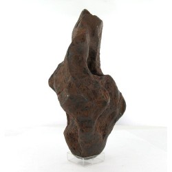 Taza Oriented Meteorite