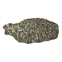 Pallasite Los Vientos 263, Full slice 77.94g