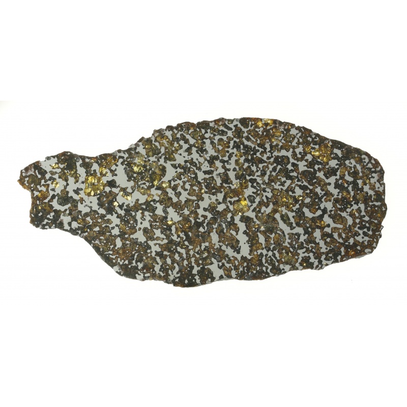 Pallasite Los Vientos 263, Full slice 77.94g