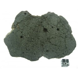 The Rosetta Stone / Meteorite / Angrite Sahara 99555 / End cut 470g