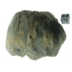 The Rosetta Stone / Meteorite / Angrite Sahara 99555 / End cut 470g