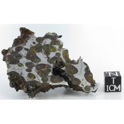 Krasnojarsk Pallasite / End Cut 73.30 g