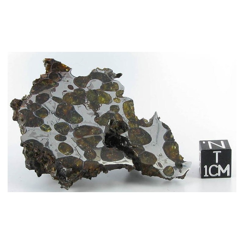 Krasnojarsk Pallasite / End Cut 73.30 g