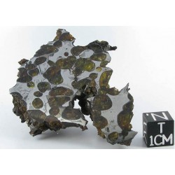 Krasnojarsk Pallasite / End Cut 73.30 g