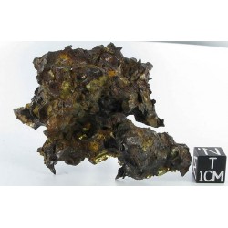 Krasnojarsk Pallasite / End Cut 73.30 g