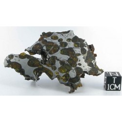 Krasnojarsk Pallasite / End Cut 73.30 g