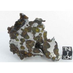 Krasnojarsk Pallasite / End Cut 73.30 g