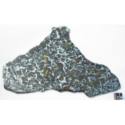 Albin Pallasite