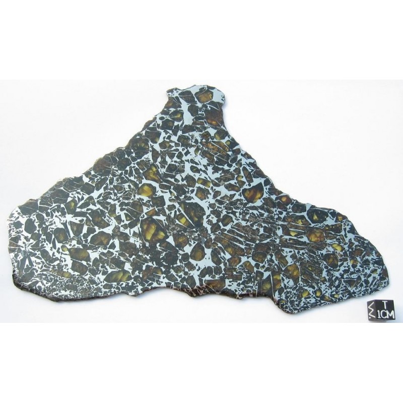 Albin Pallasite