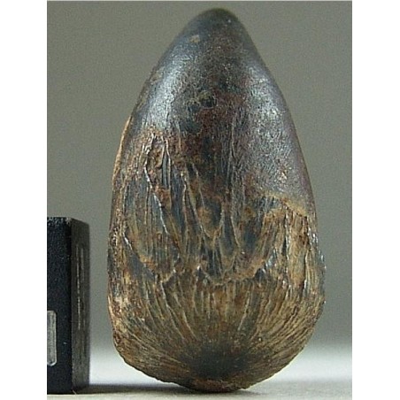 Taza Meteorite