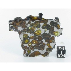 Krasnojarsk Pallasite / Slice 24.92 g