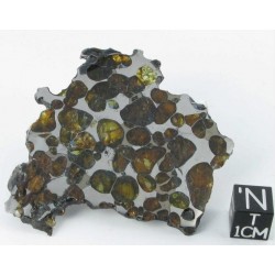 Krasnojarsk Pallasite / Slice 24.92 g