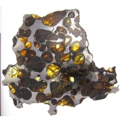 Krasnojarsk Pallasite / Slice 24.92 g