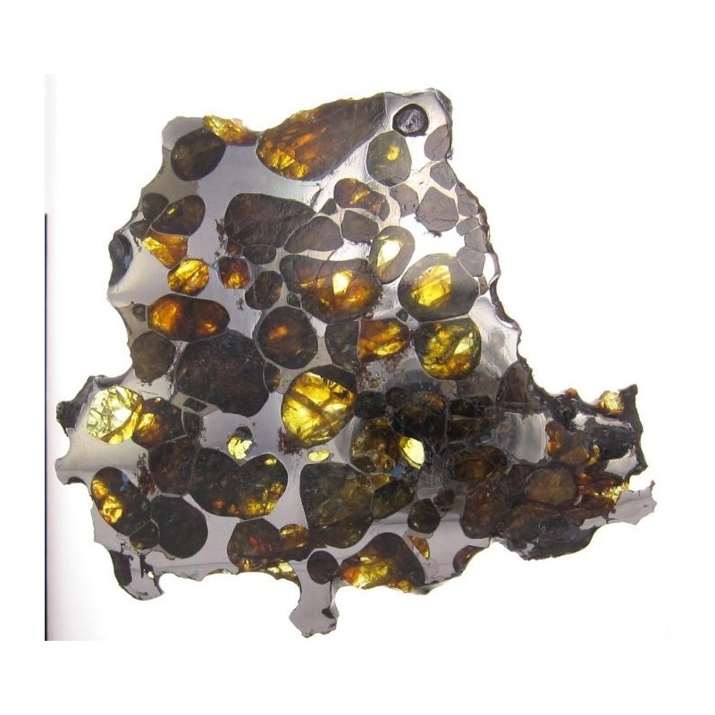 Krasnojarsk Pallasite / Slice 24.92 g